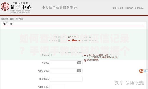 如何查询自己的征信记录？手把手教你轻松掌握个人信用报告