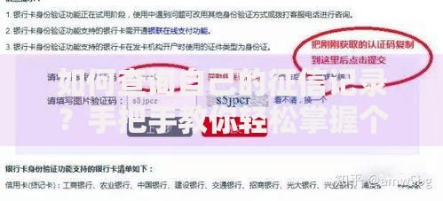 如何查询自己的征信记录？手把手教你轻松掌握个人信用报告
