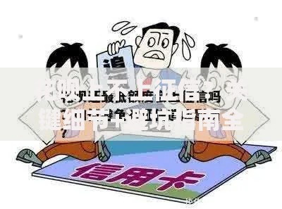花呗上不上征信？关键细节+避坑指南全解析
