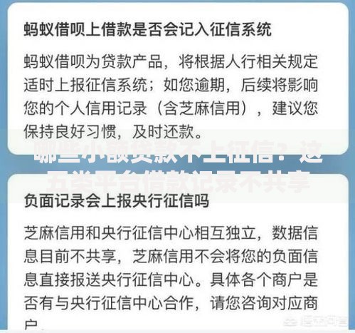 哪些小额贷款不上征信？这五类平台借款记录不共享央行