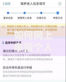 如何网上申报个人所得税：手把手教你搞定申报全流程