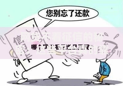 网贷不看征信的秘密：这些平台真的靠谱吗？