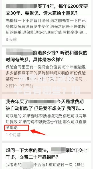网黑能贷款的平台有哪些？揭秘黑户借款渠道及注意事项