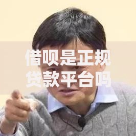 借呗是正规贷款平台吗？深度解析资质、风控与用户真实反馈
