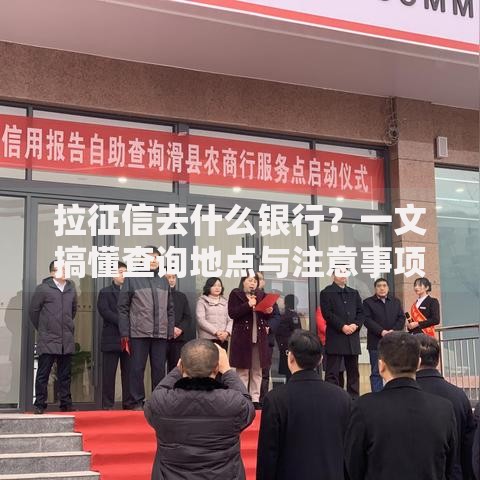 拉征信去什么银行?一文搞懂查询地点与注意事项 拉征信去什么银行?一文搞懂查询地点与注意事项