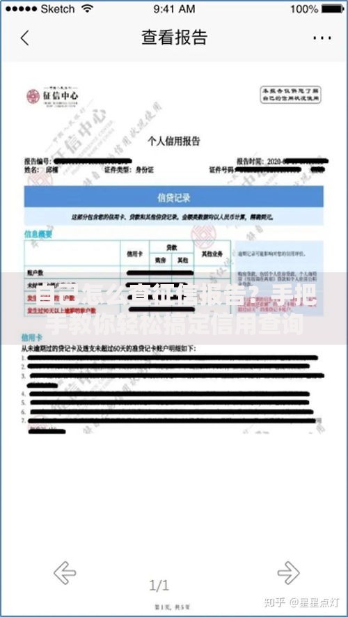 自己怎么查征信报告？手把手教你轻松搞定信用查询