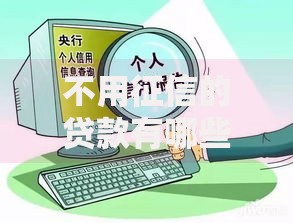 不用征信的贷款有哪些？这几种渠道你可能不知道