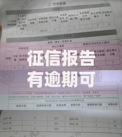 公司税号在哪里查？5个靠谱渠道和常见问题整理