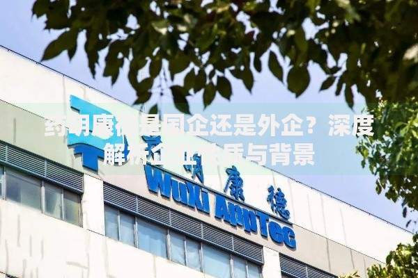 药明康德是国企还是外企？深度解析企业性质与背景