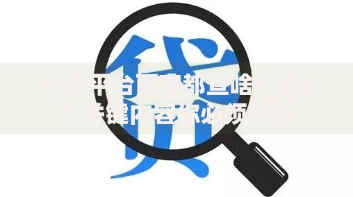 贷款平台面审都查啥？这6大关键内容你必须知道