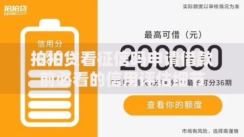 拍拍贷看征信吗申请借款前必看的信用评估细节