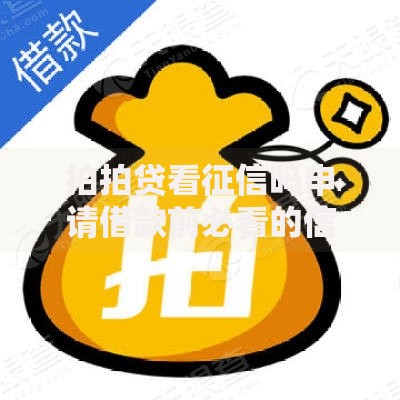拍拍贷看征信吗申请借款前必看的信用评估细节