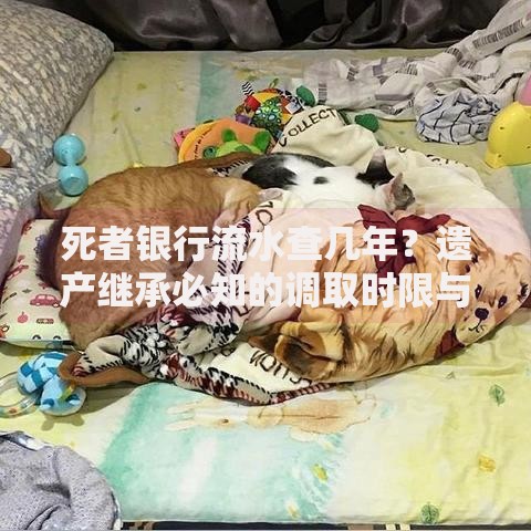 死者银行流水查几年？遗产继承必知的调取时限与流程