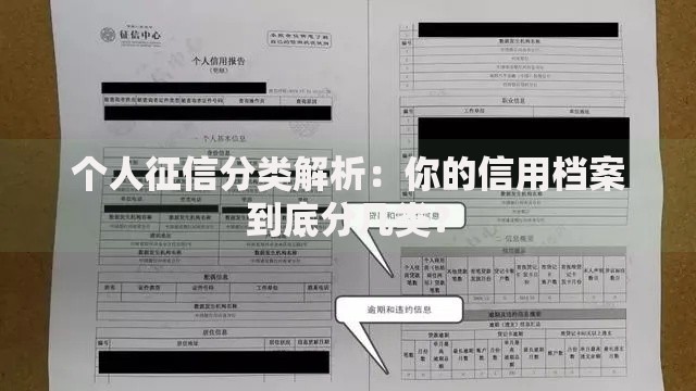 个人征信分类解析：你的信用档案到底分几类？