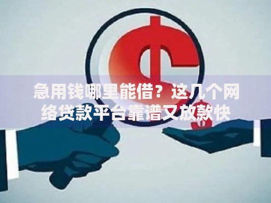急用钱哪里能借？这几个网络贷款平台靠谱又放款快