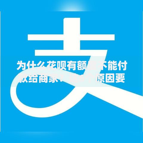 为什么花呗有额度不能付款给商家？这6个原因要重点排查