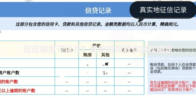 征信哪里可以打？这份指南教你轻松搞定