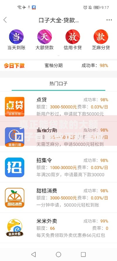 真正能贷款的大额口子有哪些正规渠道？申请条件解析