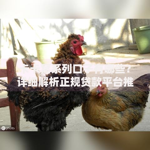 卡卡窝系列口子有哪些？详细解析正规贷款平台推荐