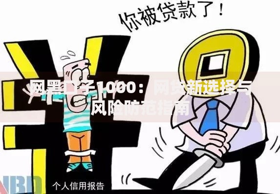 网黑口子1000：网贷新选择与风险防范指南