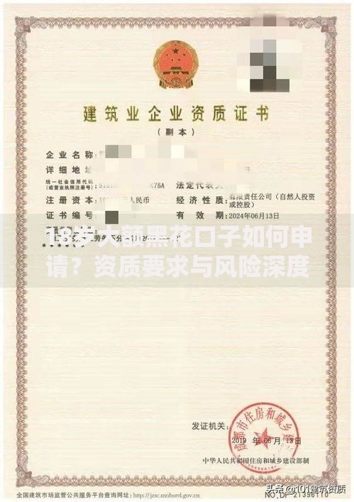 18岁大额黑花口子如何申请？资质要求与风险深度解析