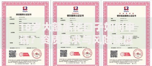 18岁大额黑花口子如何申请？资质要求与风险深度解析