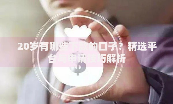 20岁有哪些下款的口子？精选平台与申请技巧解析