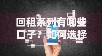 回租系列有哪些口子？如何选择靠谱平台与避坑指南