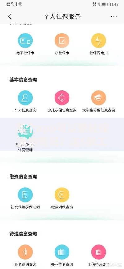 哪个app可以查社保缴纳情况？这5款工具帮你一键搞定