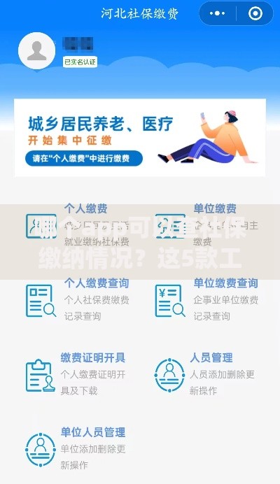 哪个app可以查社保缴纳情况？这5款工具帮你一键搞定