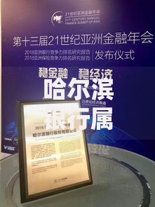 哈尔滨银行属于什么性质的银行？一图看懂其定位与业务特色