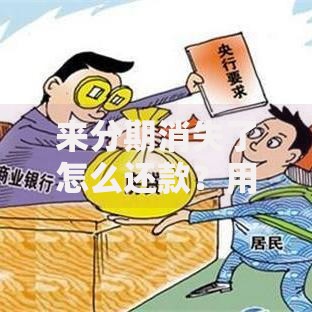 来分期消失了怎么还款？用户必看的应对指南