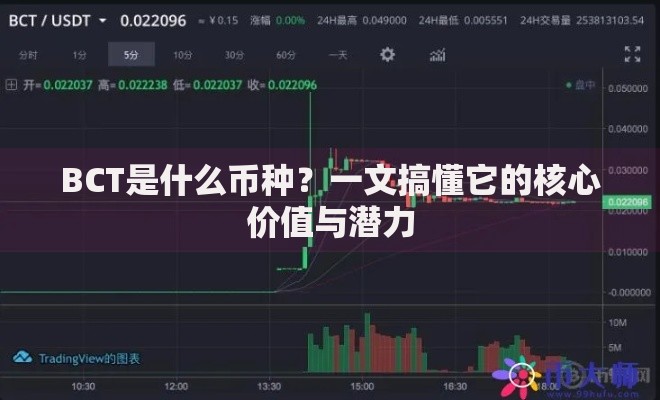 BCT是什么币种？一文搞懂它的核心价值与潜力