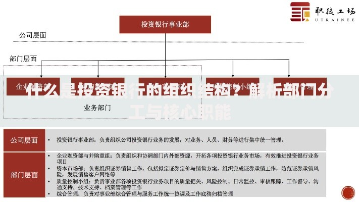 什么是投资银行的组织结构？解析部门分工与核心职能