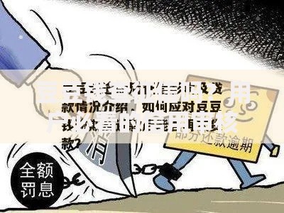 豆豆钱查征信吗？用户必看的信用审核细节解析