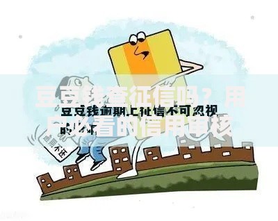 豆豆钱查征信吗？用户必看的信用审核细节解析