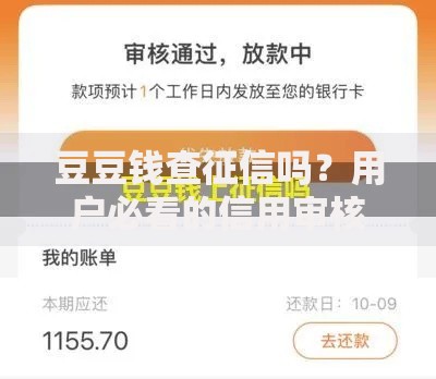 豆豆钱查征信吗？用户必看的信用审核细节解析