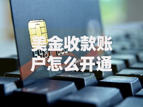 美金收款账户怎么开通？5步搞定海外收款难题