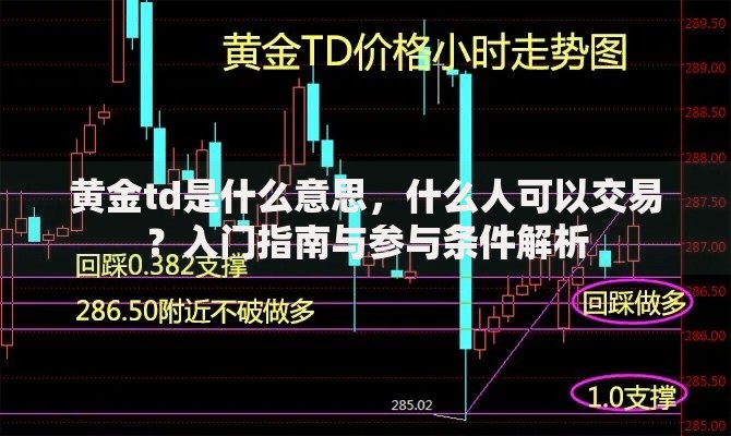 黄金td是什么意思，什么人可以交易？入门指南与参与条件解析