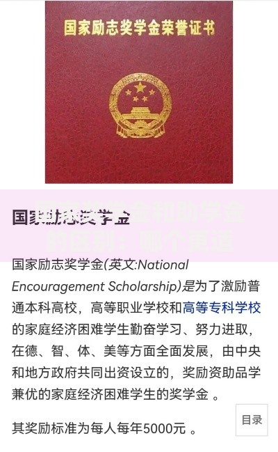 国家奖学金和助学金的区别：哪个更适合你？申请前必看！