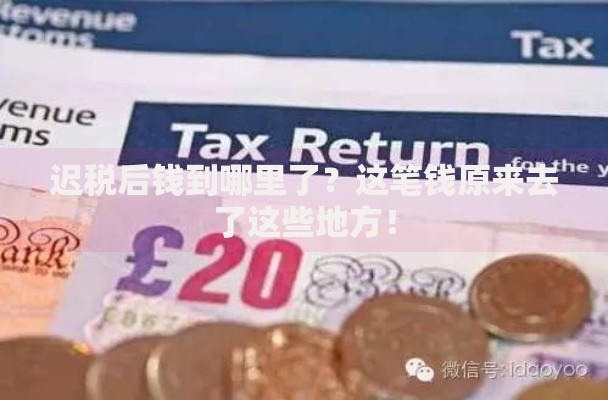 当前逾期黑户什么软件可以借到钱？解析逾期借款渠道与注意事项