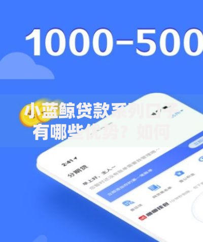 小蓝鲸贷款系列口子有哪些优势？如何选择最适合的贷款方案？