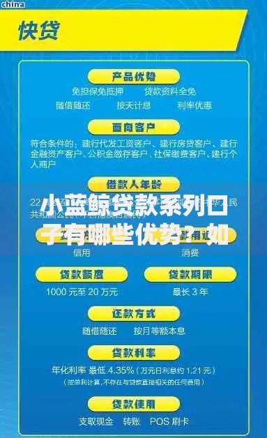 小蓝鲸贷款系列口子有哪些优势？如何选择最适合的贷款方案？