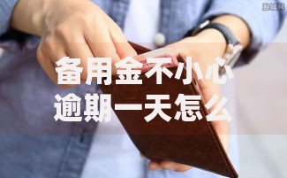 备用金不小心逾期一天怎么办？3个步骤教你快速补救