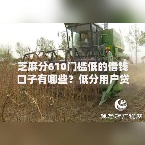 芝麻分610门槛低的借钱口子有哪些？低分用户贷款攻略