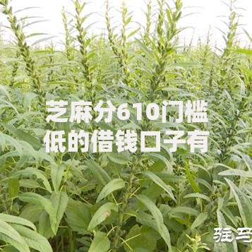 芝麻分610门槛低的借钱口子有哪些？低分用户贷款攻略