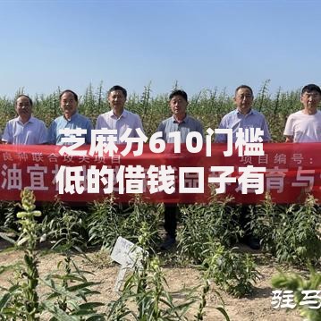 芝麻分610门槛低的借钱口子有哪些？低分用户贷款攻略
