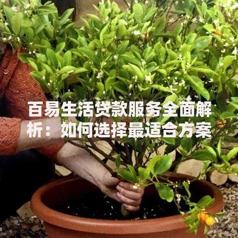 百易生活贷款服务全面解析：如何选择最适合方案？