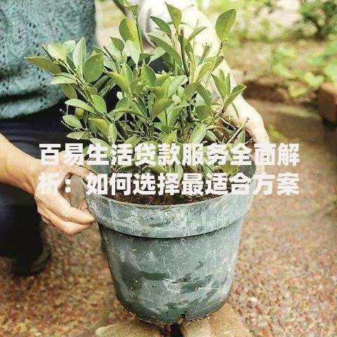 百易生活贷款服务全面解析：如何选择最适合方案？