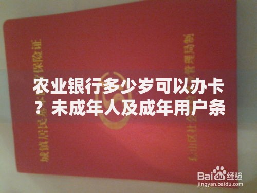 农业银行多少岁可以办卡？未成年人及成年用户条件全解析